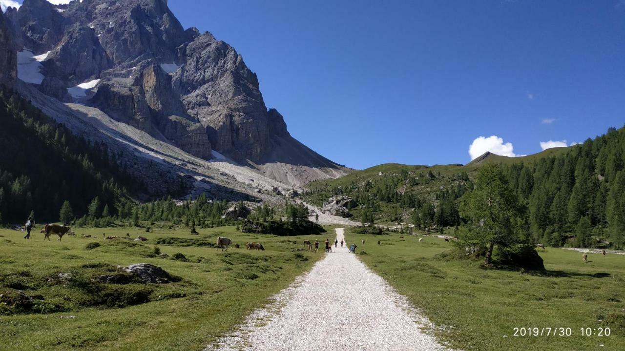 Apartamento Il Covo Dello Sciatore Falcade Exterior foto